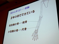 ꡼ No.011Υͥ / CEDEC 2011ϤäȤפǥäȥꥢˡCGȿβ˶ؤϤ뿷ΤäƤΥĥܡפݡ