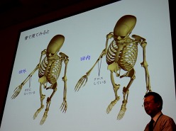 ꡼ No.013Υͥ / CEDEC 2011ϤäȤפǥäȥꥢˡCGȿβ˶ؤϤ뿷ΤäƤΥĥܡפݡ