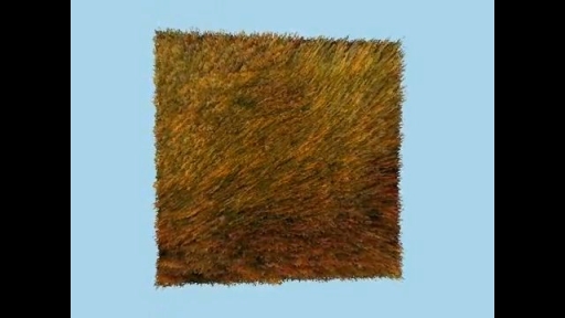 ּ¼̲ѤShell Textureưˡץǥ