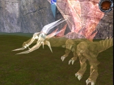 ꡼ No.003Υͥ / ֥ʥ륫316ΥåץǡȡȥԥƥߥȤץ