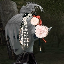 ꡼ No.005Υͥ / ݥ³Ƥꡪ4Gamer.netߥ͡IIƥǥ󥳥ƥȡ׺ͥ/ͥȯɽ