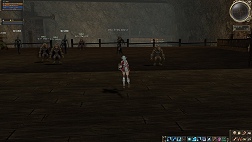 ꡼ No.024Υͥ / ³о֥͡IIפ絬ϥåץǡȡ֥ɥ Plus ʡ줷ϡԥݡ