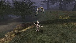 ꡼ No.021Υͥ / ϡץ쥤䡼/鿴ԤˤɤΤ褦ѲͿΤ֥͡2׻˾絬ϤΥåץǡȡGoddess of Destructionԥץ쥤ݡ