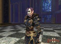 ꡼ No.002Υͥ / EverQuest II׼ĥѥåо줹뿷²֥ե꡼֥åɡפξǯǸOLTT1218130