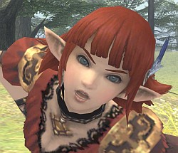 ꡼ No.002Υͥ / FFXI絬ϥåץǡ®󡧥饤ޥåؤȺݤ륢륿ʳĥƥදƥȥᥤλɼʤ