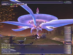 ꡼ No.001Υͥ / FFXI絬ϥåץǡȤ»ܡ٥륭åפ85˳ɥȥӥλƮɤΥץ쥤ؤʤɡʸɤҲ