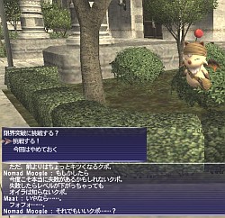 ꡼ No.002Υͥ / FFXI絬ϥåץǡȤ»ܡ٥륭åפ85˳ɥȥӥλƮɤΥץ쥤ؤʤɡʸɤҲ