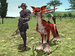 ꡼ No.008Υͥ / FFXI絬ϥåץǡȤ»ܡ8590ؤΥ٥륭åװ夲䡤ɥ֥ӥƼԡפΥץ쥤ؤʤƤ