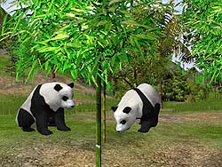 画像集#010のサムネイル/ズー,「アメリカンコンクエスト」と「ワイルドライフ パーク 2」のダウンロード販売を開始