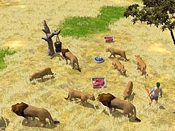 画像集#014のサムネイル/ズー,「アメリカンコンクエスト」と「ワイルドライフ パーク 2」のダウンロード販売を開始