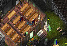 ������#015�Υ���ͥ���/�֥꥿�˥���ݡ�����2�ơ�UO���祳�����������δ���ʸ����Ǻ�