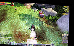 ꡼ No.013Υͥ / G-Star 2011ϡWorld of Warcraft: Mists of Pandariaפץ쥤֥ŸѥˤϤޤʤѥι
