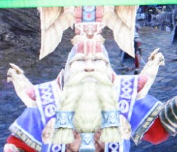 ꡼ No.008Υͥ / G2009Ϥδ餬θѹˡڹ˥塼󤵤줿Warhammer OnlineפG2009ǥå