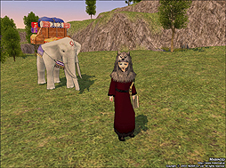 画像ギャラリー No.001のサムネイル画像 / 「マビノギ」将来希望に商人,交易に密輸業者を追加。黒龍の年記念企画も