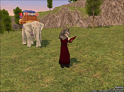 画像ギャラリー No.002のサムネイル画像 / 「マビノギ」将来希望に商人,交易に密輸業者を追加。黒龍の年記念企画も