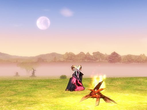 画像ギャラリー No.003のサムネイル画像 / 「マビノギ」,NPCやモンスターに変身できる新スキルが登場。「日記」も追加