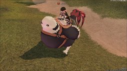 画像ギャラリー No.011のサムネイル画像 / 「マビノギ」とアニメ「うたわれるもの 偽りの仮面」のタイアップが実施。ネコネ役の水瀬いのりさんも登壇したメディア向け発表会をレポート