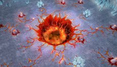 ���������꡼ No.003�Υ���ͥ������ / ��̲��ʤ���Φ�����Υ��׸����Ĺ�Ǹ�ΰ�֥͡�������פ�̲�뿷�ޥåס֥Х륭�꡼��׼���������ΥХ�󥿥��󥤥٥�Ȥ⥹������