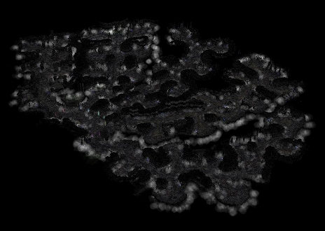 ꡼ No.011Υͥ / ֥ߥ塼 ؤϡΥ饹˥塼俷ޥåסȳΥɲäʤɤΥåץǡȤ»
