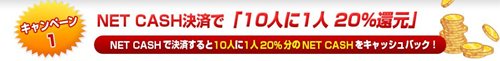 ꡼ No.005Υͥ / ϥӥåȥơǡ֥ǥ󥦥 NET CASHԸס׼»