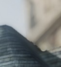 ꡼ No.027Υͥ / γȯ̤Ϥ ֥ʥɡѥ ͥå󥹡׳ȯΥѡʹ5ǯǰåץǡȤ鿷եå󥸥ޤ