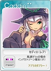 ꡼ No.019Υͥ / ѥμ緿åץǡȡ֥äȥ ѥ Unitedԥץ쥤ݡȡ󥿥ӥ塼