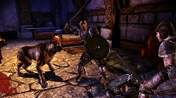 ꡼ No.011Υͥ / Gamescomϼͳ٤⤤ȤϤȤEADragon Age: OriginsפΥ륻å򳫺