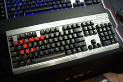 ꡼ No.007Υͥ / ֥󥯥պ2011׳šTt eSPORTSΥޥ䥭ܡɤʤɤ򿧥ǥ뤬о