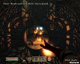 ꡼ No.013 | The Elder Scrolls IV: Oblivion