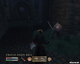 ꡼ No.022 | The Elder Scrolls IV: Oblivion