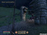 ꡼ No.049 | The Elder Scrolls IV: Oblivion