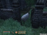 ꡼ No.056 | The Elder Scrolls IV: Oblivion