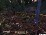 ꡼ No.060 | The Elder Scrolls IV: Oblivion