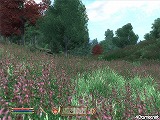 ꡼ No.070 | The Elder Scrolls IV: Oblivion