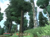 ꡼ No.072 | The Elder Scrolls IV: Oblivion