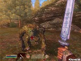 ꡼ No.076 | The Elder Scrolls IV: Oblivion