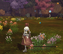 ꡼ No.016Υͥ / RAGNAROK Online 2: Legend of the Secondפ2ɦ¥ƥȤڹϡĿ;Ź¤Ԥۤ¿Υƥब