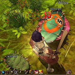 ꡼ No.038Υͥ / RAGNAROK Online 2פ勞勞ץƥѸڹ2CBTǡ3DեåǺƸ줿ROιƤߤ