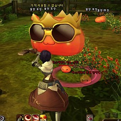 ꡼ No.040Υͥ / RAGNAROK Online 2פ勞勞ץƥѸڹ2CBTǡ3DեåǺƸ줿ROιƤߤ