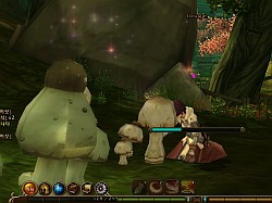 ꡼ No.046Υͥ / RAGNAROK Online 2פ勞勞ץƥѸڹ2CBTǡ3DեåǺƸ줿ROιƤߤ