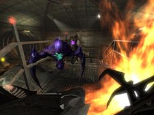 ���������꡼ No.002�Υ���ͥ������ / ��HELLGATE�׼���ͽ��ο�����ƥ�ġ�PvP����ƥ�ġ����꡼�ʡʲ��ˡפΥƥ��Ȥ򳫺����ǯ��ǯ�Ϥϳ����и��ͤ�2��