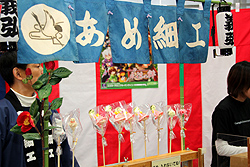 ꡼ No.050Υͥ / ECO6ǯǰECO2011פšSAGA16פΤߤʤ餺SAGA17פξ