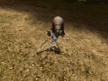 ꡼ No.009Υͥ / MMORPG֥ڥܡסȼΥ饯ӥ奢CBTפо줹륹롤󥹥ξ