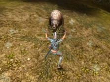 ꡼ No.010Υͥ / MMORPG֥ڥܡסȼΥ饯ӥ奢CBTפо줹륹롤󥹥ξ