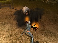꡼ No.014Υͥ / MMORPG֥ڥܡסȼΥ饯ӥ奢CBTפо줹륹롤󥹥ξ