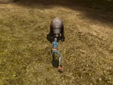 ꡼ No.018Υͥ / MMORPG֥ڥܡסȼΥ饯ӥ奢CBTפо줹륹롤󥹥ξ