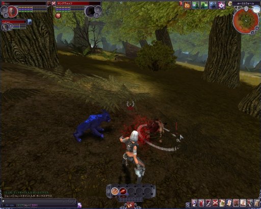 ꡼ No.017Υͥ / PRۻ¿ʥƥबܤüMMORPG֥ڥܡספŰ