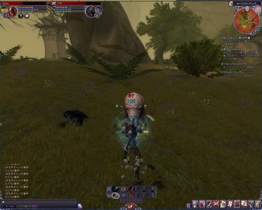 ꡼ No.026Υͥ / PRۻ¿ʥƥबܤüMMORPG֥ڥܡספŰ
