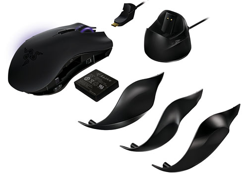 ꡼ No.004Υͥ / ٤ϥ磻쥹磻䡼ξбMMOѥޥRazer Nagaפοǥ뤬ȯɽ