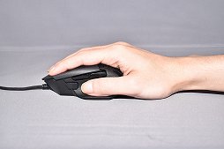 ꡼ No.016Υͥ / PRۡRazer Basilisk V3פΥ󥵡϶äǽۥοǽLEDߥ͡ܤǥ